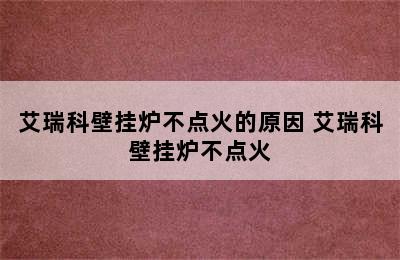 艾瑞科壁挂炉不点火的原因 艾瑞科壁挂炉不点火